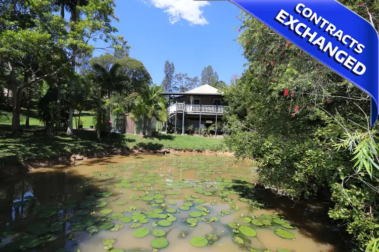 Main view of Homely house listing, 25/78 Cecil, Nimbin NSW 2480