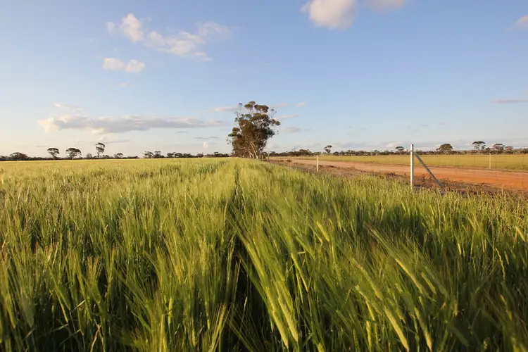 2168 Hedges Road East, South Kumminin WA 6368