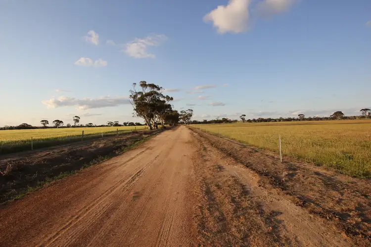 Seventh view of Homely rural property listing, 2168 Hedges Road East, South Kumminin WA 6368