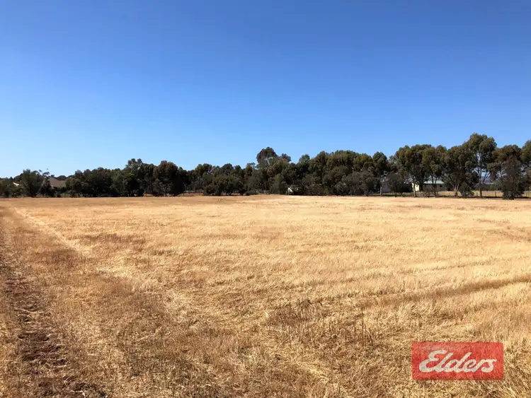 Third view of Homely land listing, Lot 202 Clancy Road, Gawler Belt SA 5118