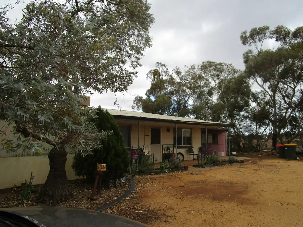 Main view of Homely house listing, 319 Caddy Road, Barmera SA 5345
