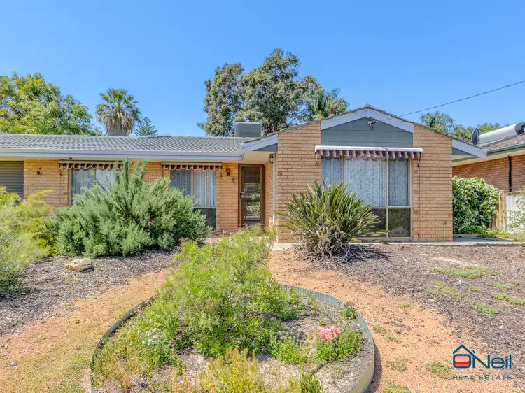 Main view of Homely house listing, 37 Vistula Terrace, Kelmscott WA 6111