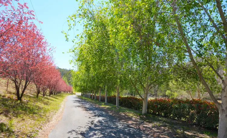 Third view of Homely house listing, 85A Cranbrook Park Road, Little Hartley NSW 2790