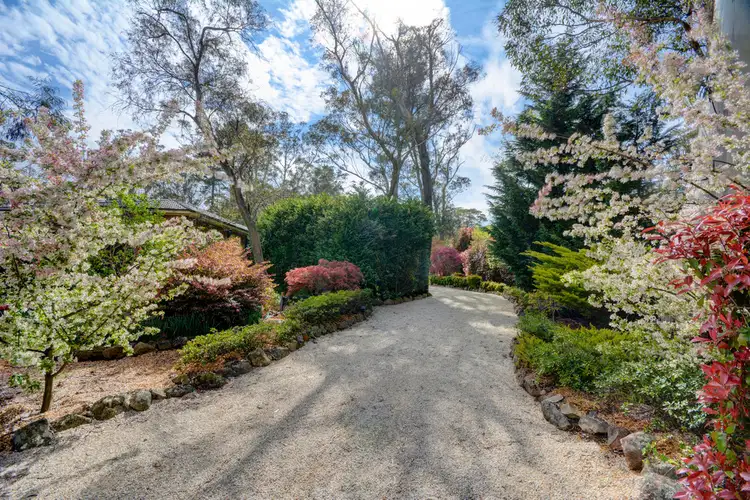 Fifth view of Homely house listing, 38 Portland Road, Medlow Bath NSW 2780