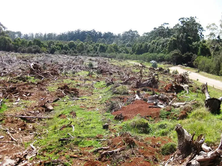 Sixth view of Homely rural property listing, . Newhaven Road, Mawbanna TAS 7321