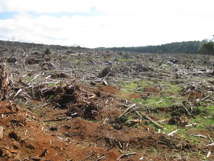 Seventh view of Homely rural property listing, . Newhaven Road, Mawbanna TAS 7321