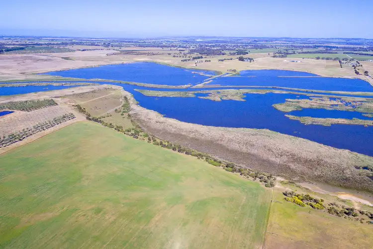 Main view of Homely rural property listing, 556 FINNISS-CLAYTON ROAD, Finniss SA 5255