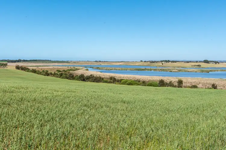 Second view of Homely rural property listing, 556 FINNISS-CLAYTON ROAD, Finniss SA 5255