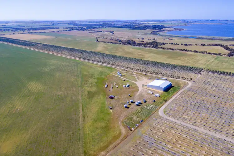 Fifth view of Homely rural property listing, 556 FINNISS-CLAYTON ROAD, Finniss SA 5255