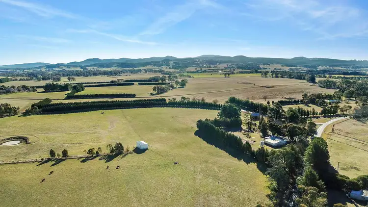 Fourth view of Homely rural property listing, 1665 Forest Reefs Road, Orange NSW 2800