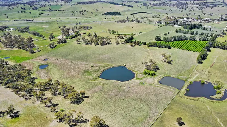 Sixth view of Homely rural property listing, 30 Phoenix Mine Road, Orange NSW 2800