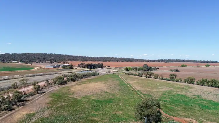 269 Apostle Yard Road, Leeton NSW 2705