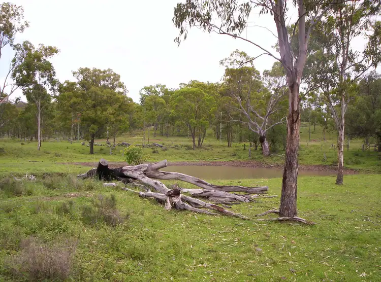 Fifth view of Homely rural property listing, Lot 1 Big Hill Road, Pratten QLD 4370