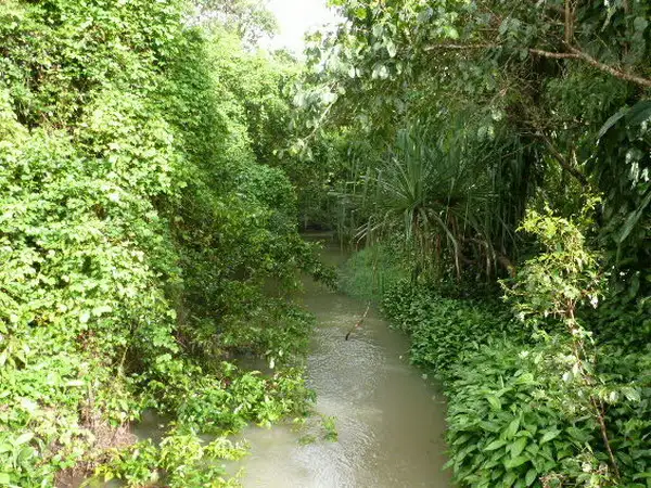 Second view of Homely rural property listing, Address available on request