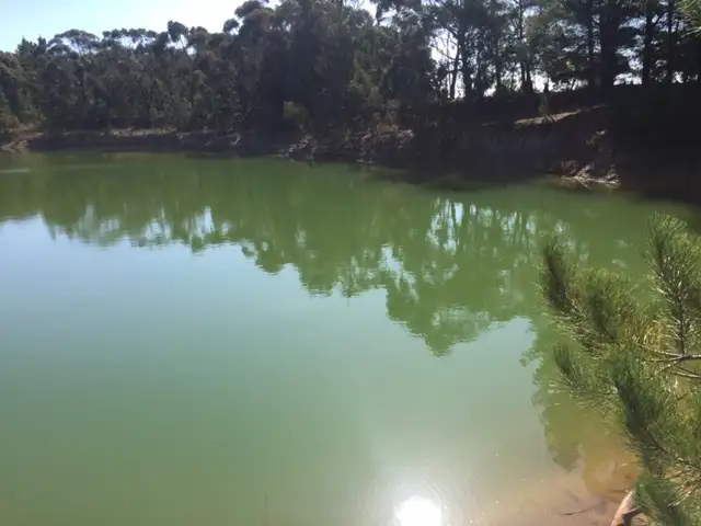Third view of Homely land listing, 207 Coalmine Road, Lal Lal VIC 3352