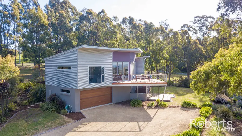 Main view of Homely house listing, 19 Stephensdale Drive, Riverside TAS 7250