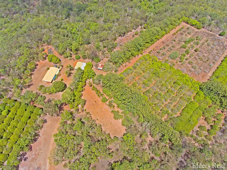 Second view of Homely house listing, 119 WARDS LANE, Farnborough QLD 4703