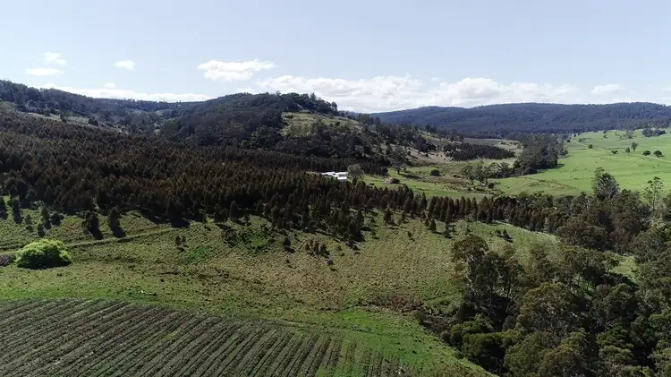 Fifth view of Homely rural property listing, "Cooma" Lyell Highway, Ouse TAS 7140