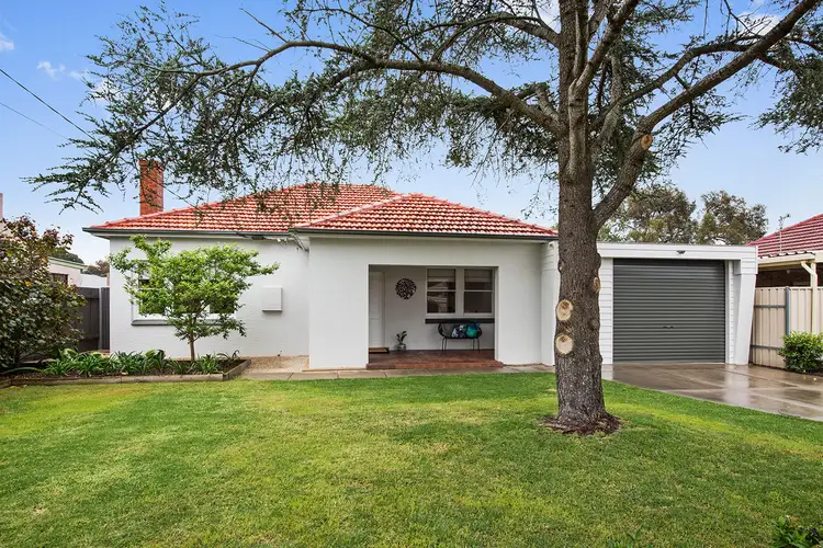 20 Oval Avenue, Edwardstown SA 5039