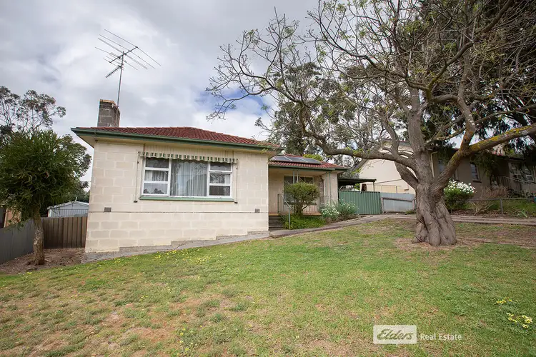 Main view of Homely house listing, 12 PINE GROVE, Naracoorte SA 5271