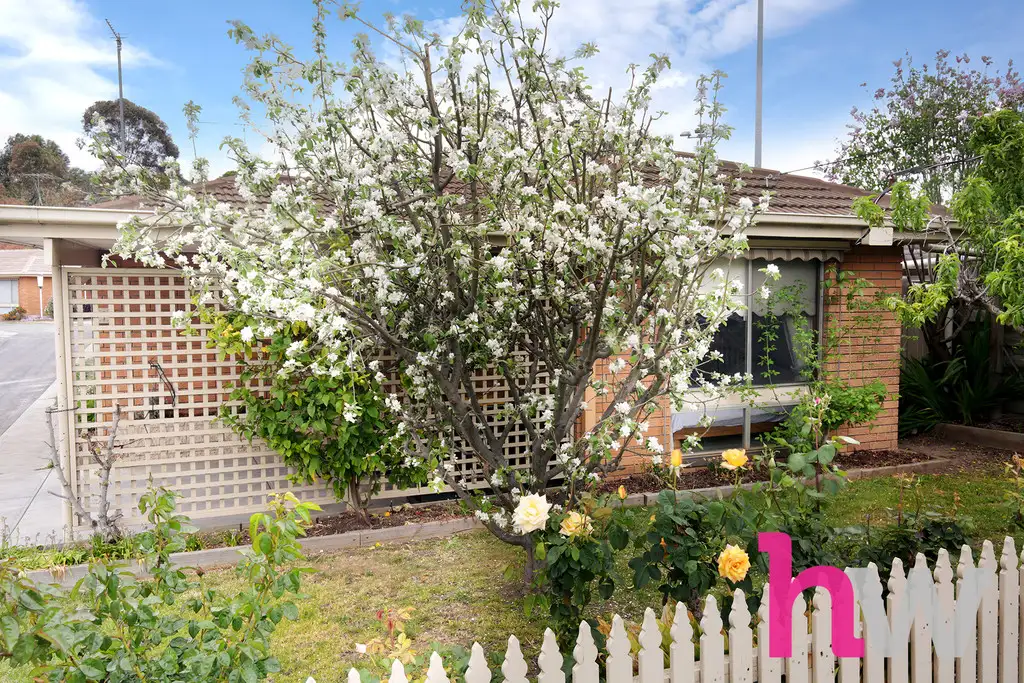 Main view of Homely unit listing, 1/61 Barrabool Rd, Highton VIC 3216