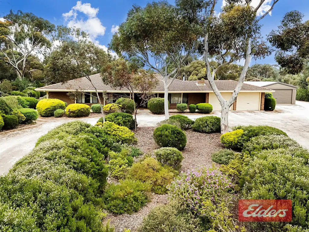 Main view of Homely house listing, 16 Peppermint Drive, Gawler Belt SA 5118