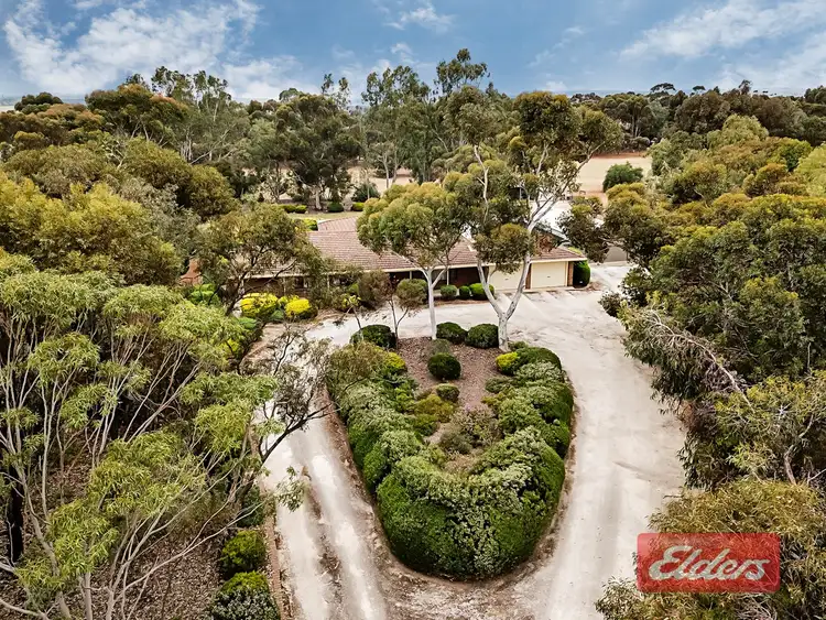 Second view of Homely house listing, 16 Peppermint Drive, Gawler Belt SA 5118