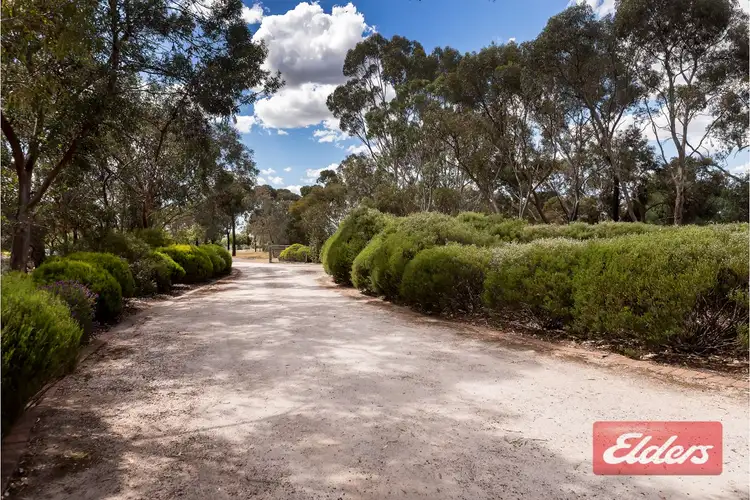 Fourth view of Homely house listing, 16 Peppermint Drive, Gawler Belt SA 5118