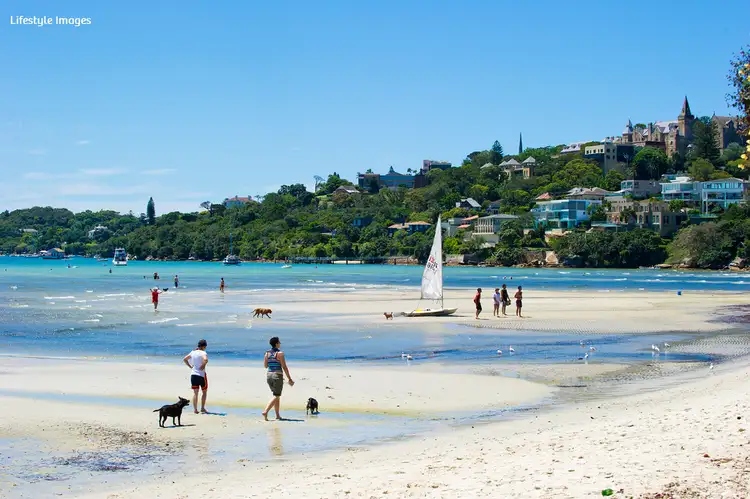 Sixth view of Homely apartment listing, 8/39 William Street, Rose Bay NSW 2029