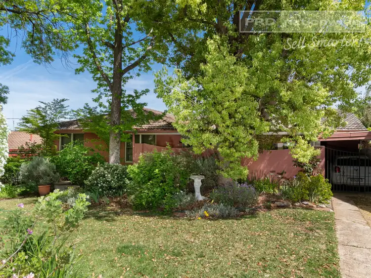 Main view of Homely house listing, 3 Churchill Avenue, Kooringal NSW 2650