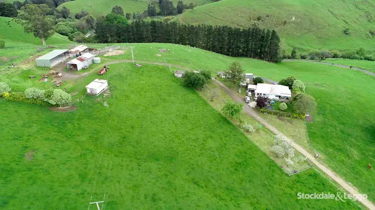 Main view of Homely rural property listing, 1115 Wild Dog Valley Road, Mount Eccles VIC 3953