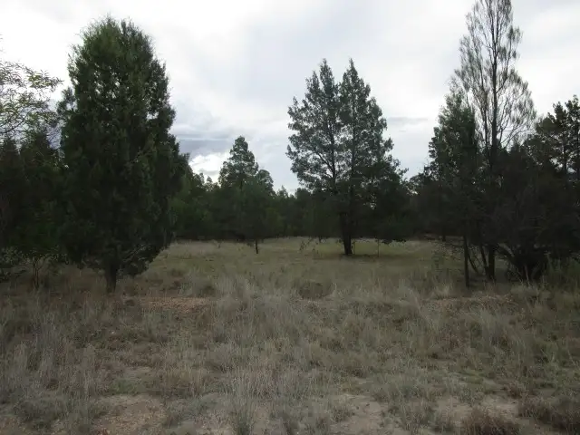 Main view of Homely rural property listing, LOT 19 MALES DRIVE, Tara QLD 4421