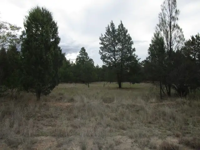 Main view of Homely rural property listing, LOT 19 MALES DRIVE, Tara QLD 4421