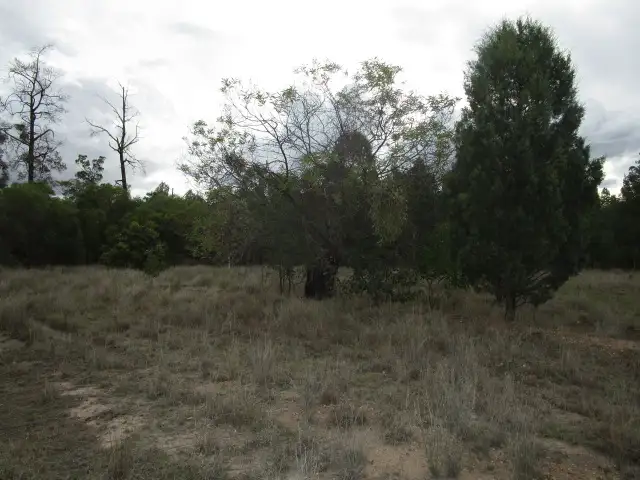 Second view of Homely rural property listing, LOT 19 MALES DRIVE, Tara QLD 4421