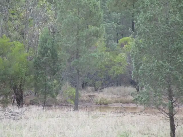 Fifth view of Homely rural property listing, LOT 19 MALES DRIVE, Tara QLD 4421