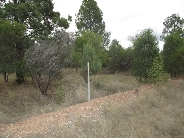 Sixth view of Homely rural property listing, LOT 19 MALES DRIVE, Tara QLD 4421