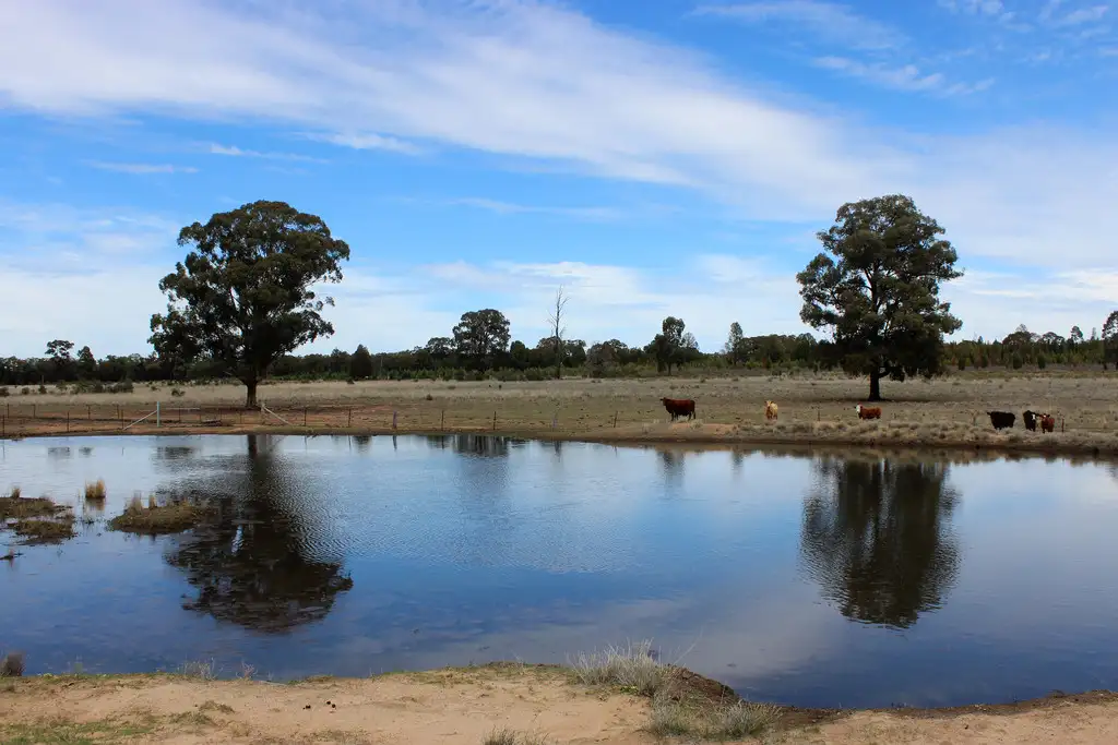 Main view of Homely rural property listing, 47R MOGRIGUY FOREST ROAD, Mogriguy NSW 2830