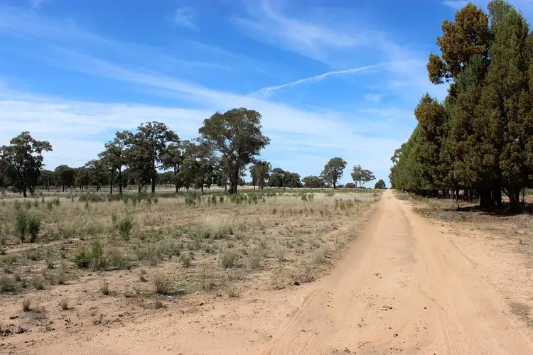 Second view of Homely rural property listing, 47R MOGRIGUY FOREST ROAD, Mogriguy NSW 2830