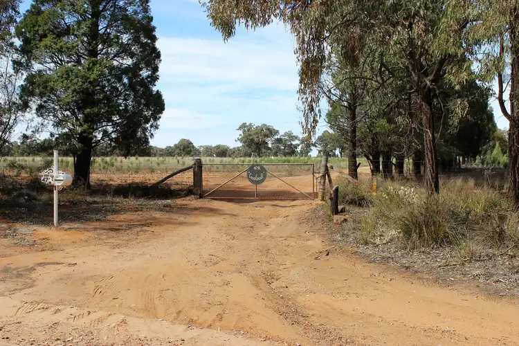 Third view of Homely rural property listing, 47R MOGRIGUY FOREST ROAD, Mogriguy NSW 2830