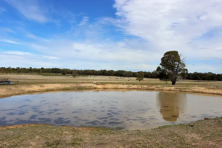 Fourth view of Homely rural property listing, 47R MOGRIGUY FOREST ROAD, Mogriguy NSW 2830