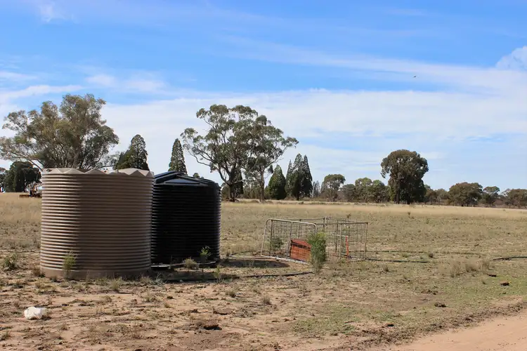 Sixth view of Homely rural property listing, 47R MOGRIGUY FOREST ROAD, Mogriguy NSW 2830