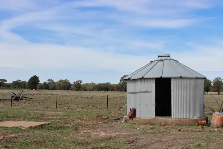 Seventh view of Homely rural property listing, 47R MOGRIGUY FOREST ROAD, Mogriguy NSW 2830