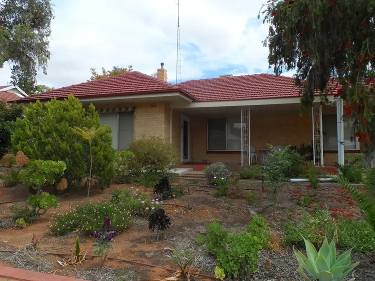 7 McMillan Street, Loxton SA 5333