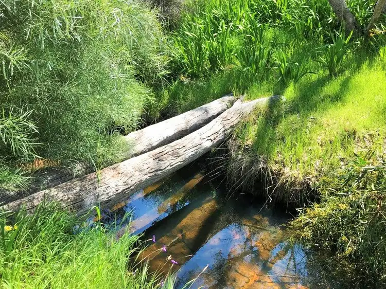 Fifth view of Homely house listing, Address available on request