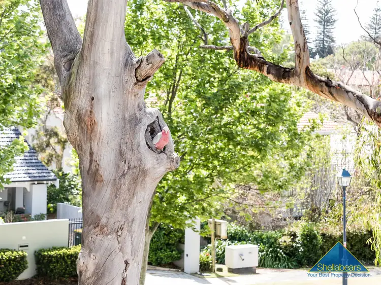 Third view of Homely apartment listing, 3/16a Richardson Avenue, Claremont WA 6010
