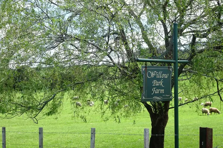 Second view of Homely rural property listing, 100 Deviation Road, Westbury TAS 7303