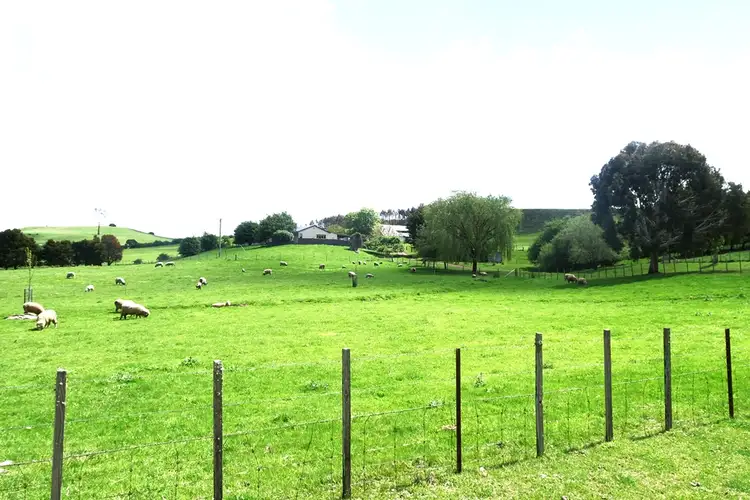 Fourth view of Homely rural property listing, 100 Deviation Road, Westbury TAS 7303