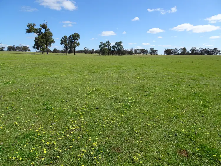 "Mitchibin" North Bannister-Wandering Rd, Wandering WA 6308