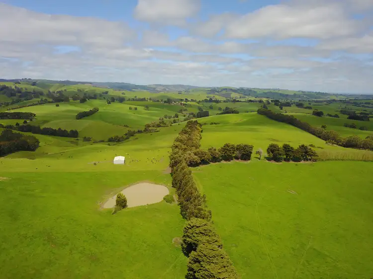 Main view of Homely rural property listing, 460 CLEAR CREEK VALLEY ROAD, Mirboo VIC 3871