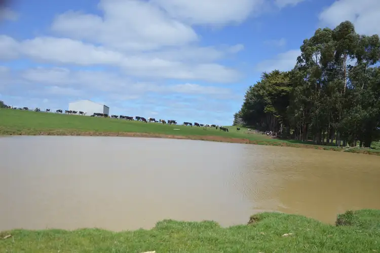 Third view of Homely rural property listing, 460 CLEAR CREEK VALLEY ROAD, Mirboo VIC 3871